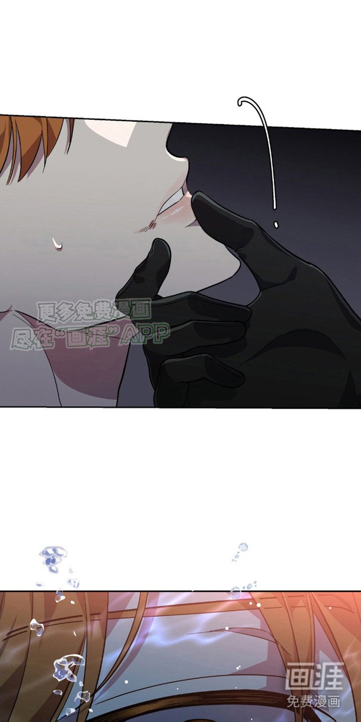 第7章：长相