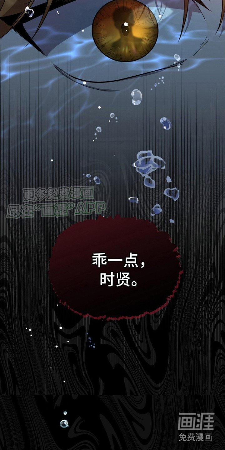 第7章：长相