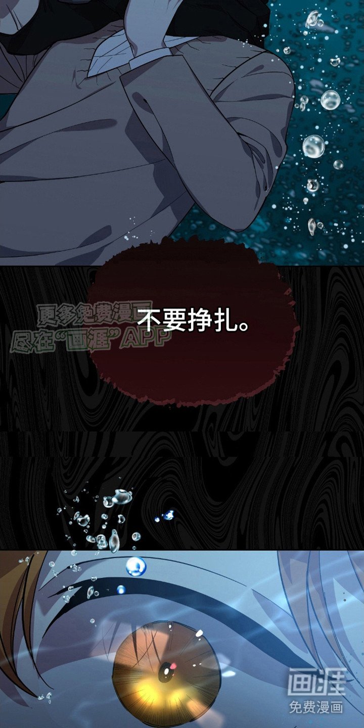 第7章：长相