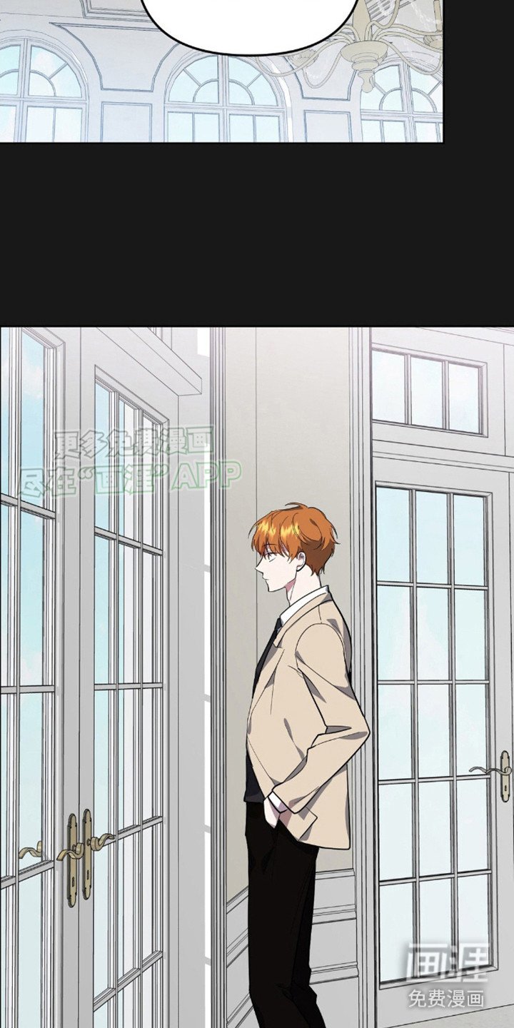 第7章：长相