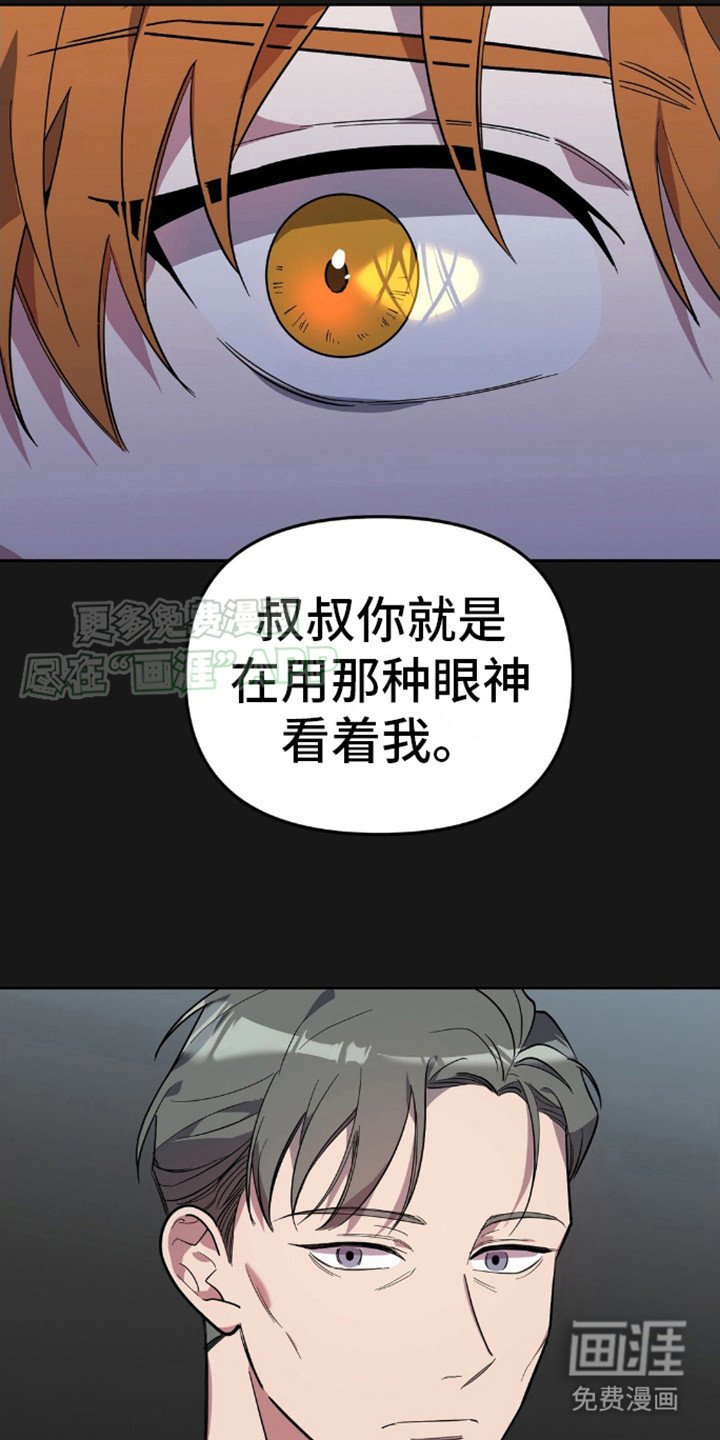 第7章：长相