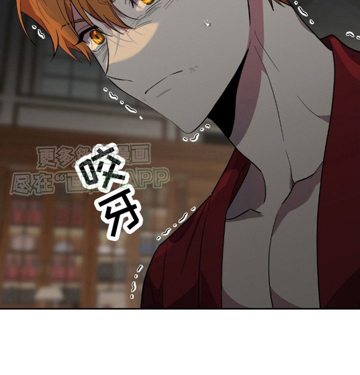 第7章：长相