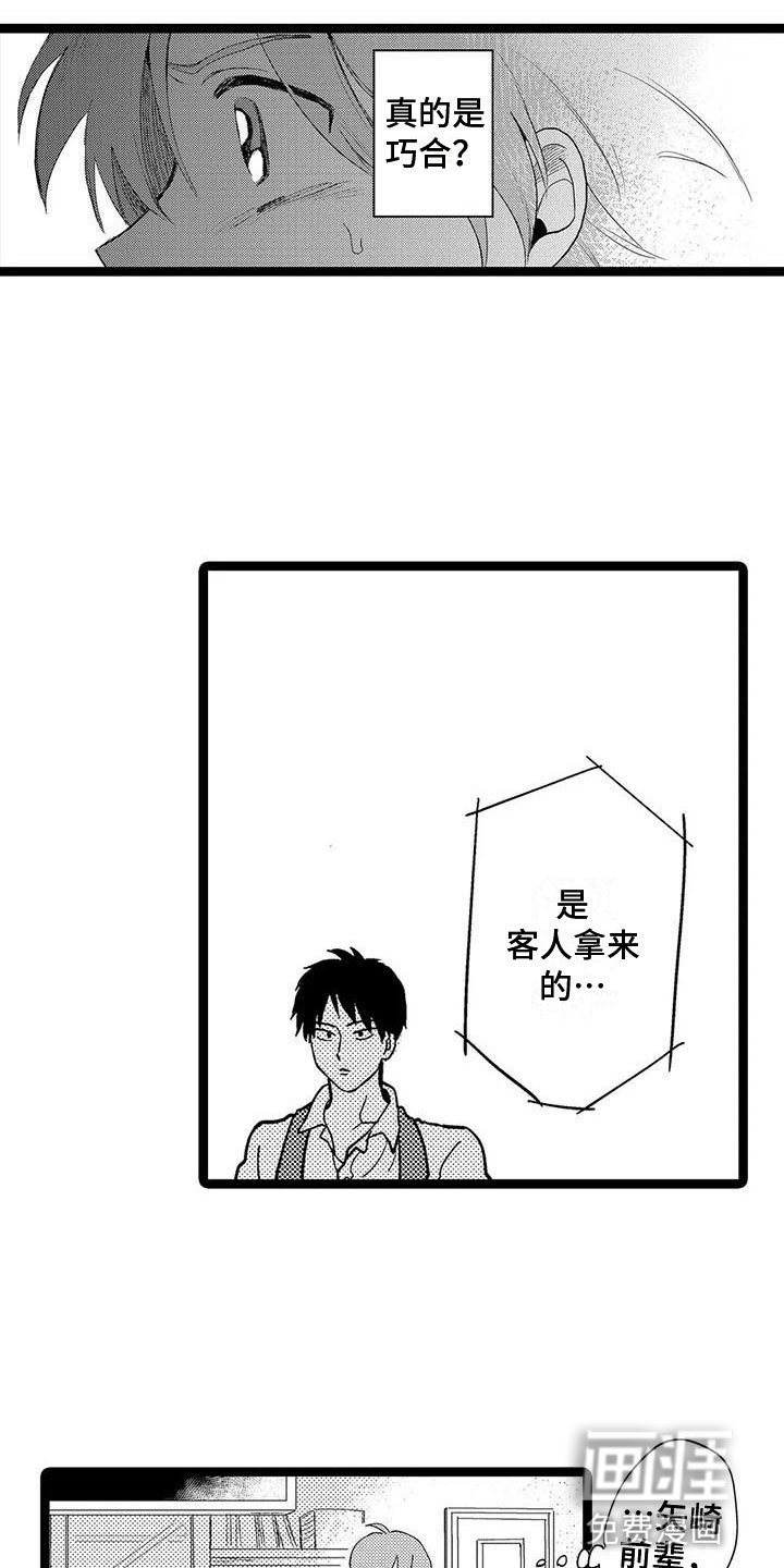 第11章：巧合？