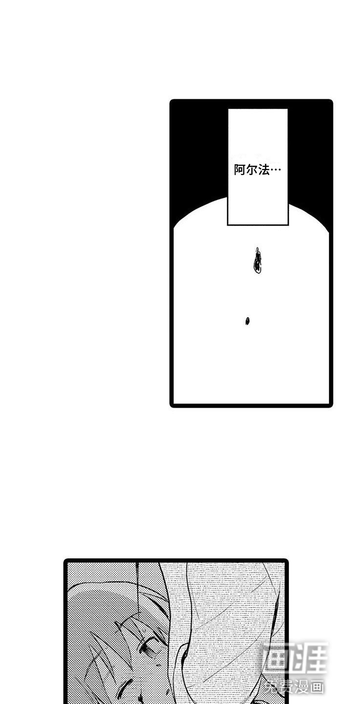 第13章：道歉