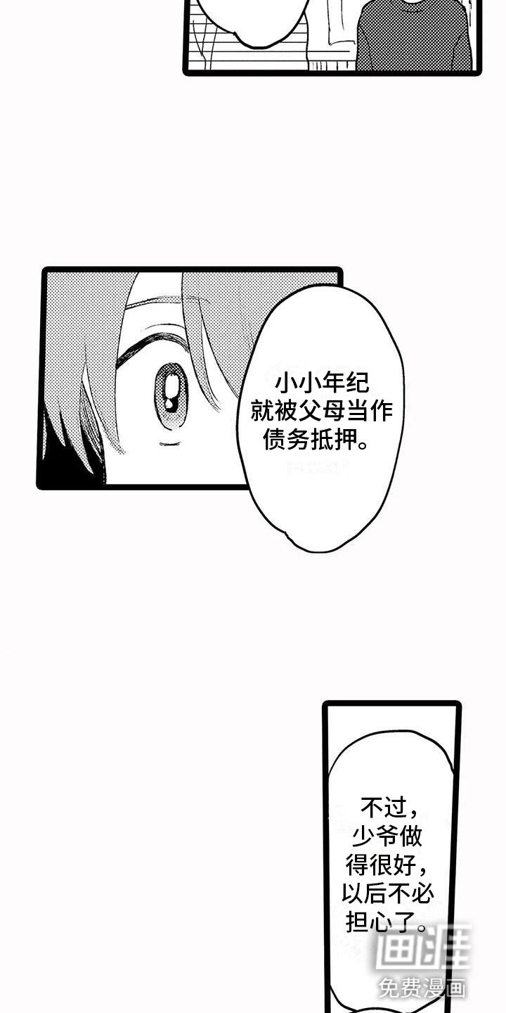 第26章：什么意思