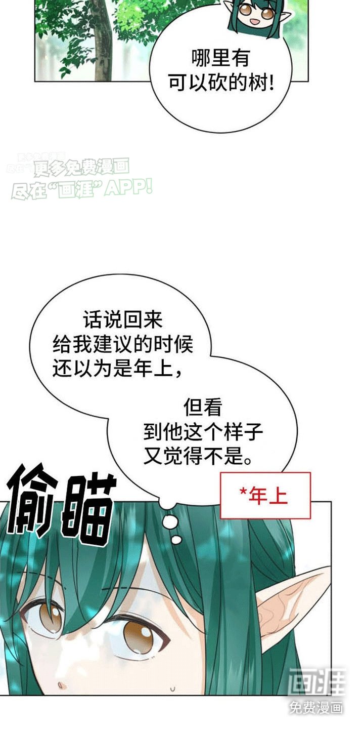 第13章：下定决心