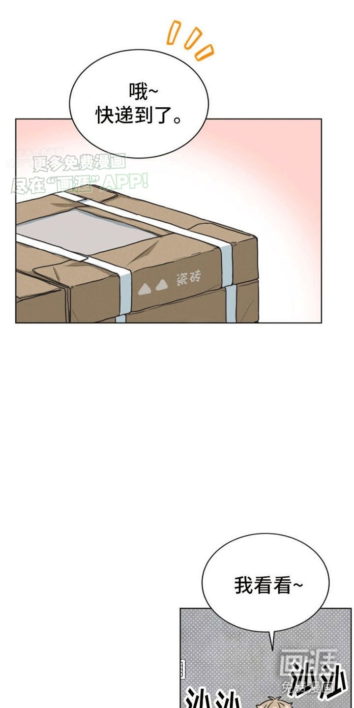 第13章：下定决心