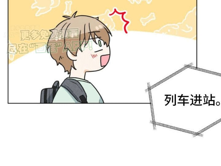第17章：约定