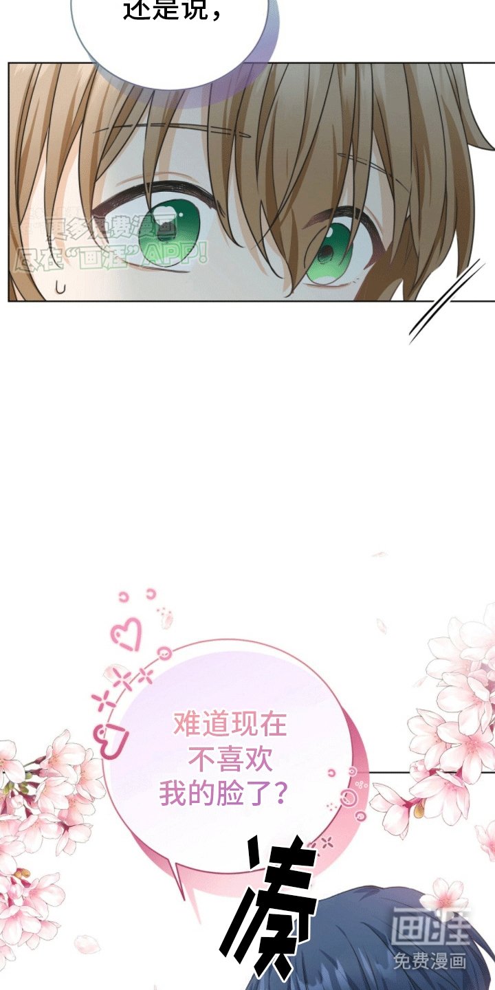 第5章：道歉