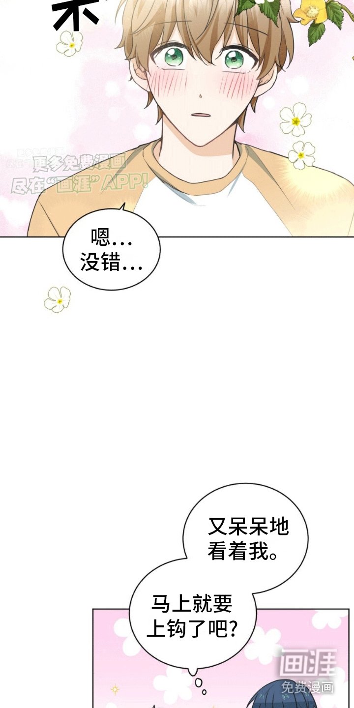 第6章：成为理想型