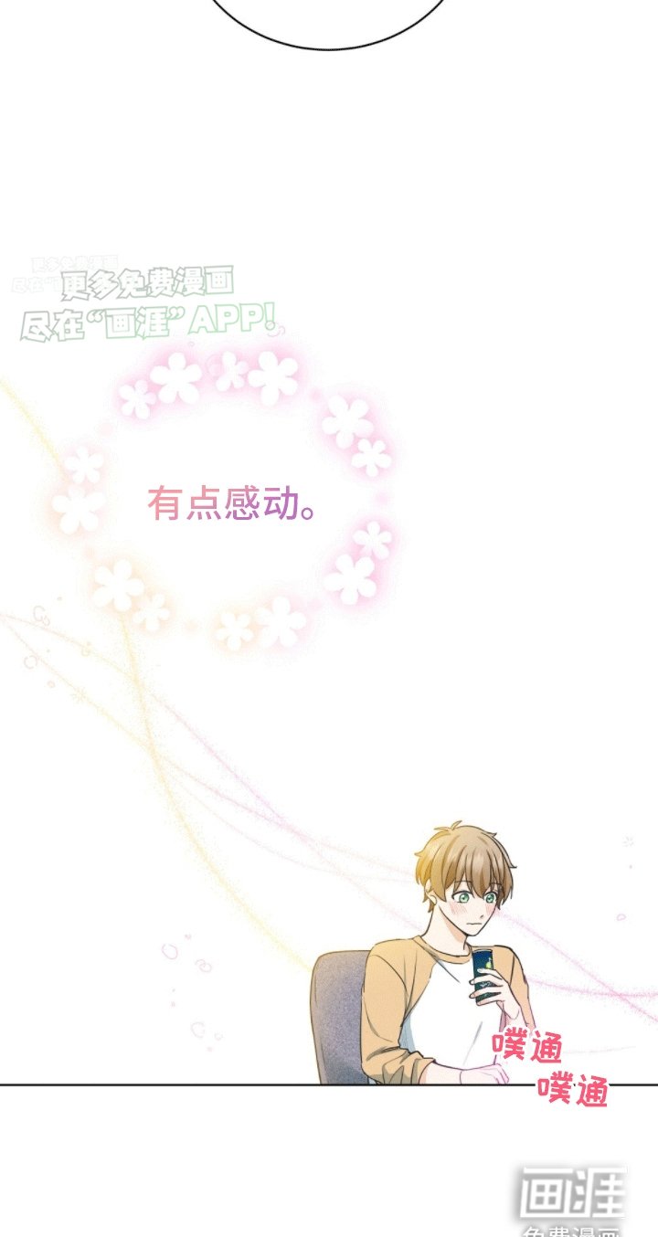第6章：成为理想型
