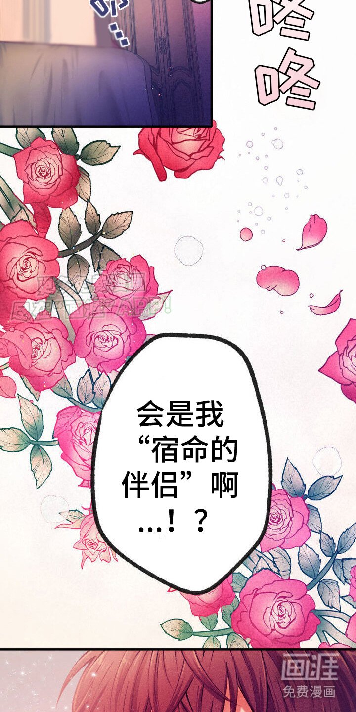 第1章：大小姐
