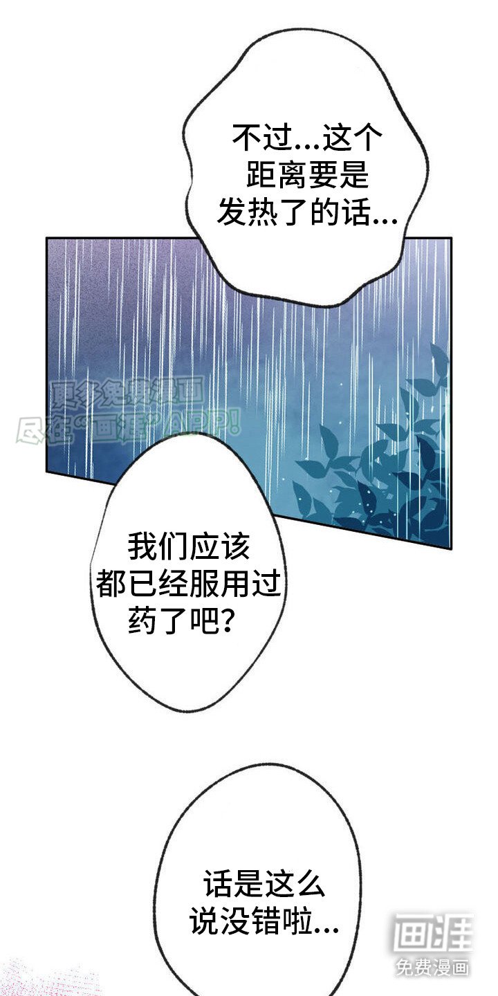 第19章：心动