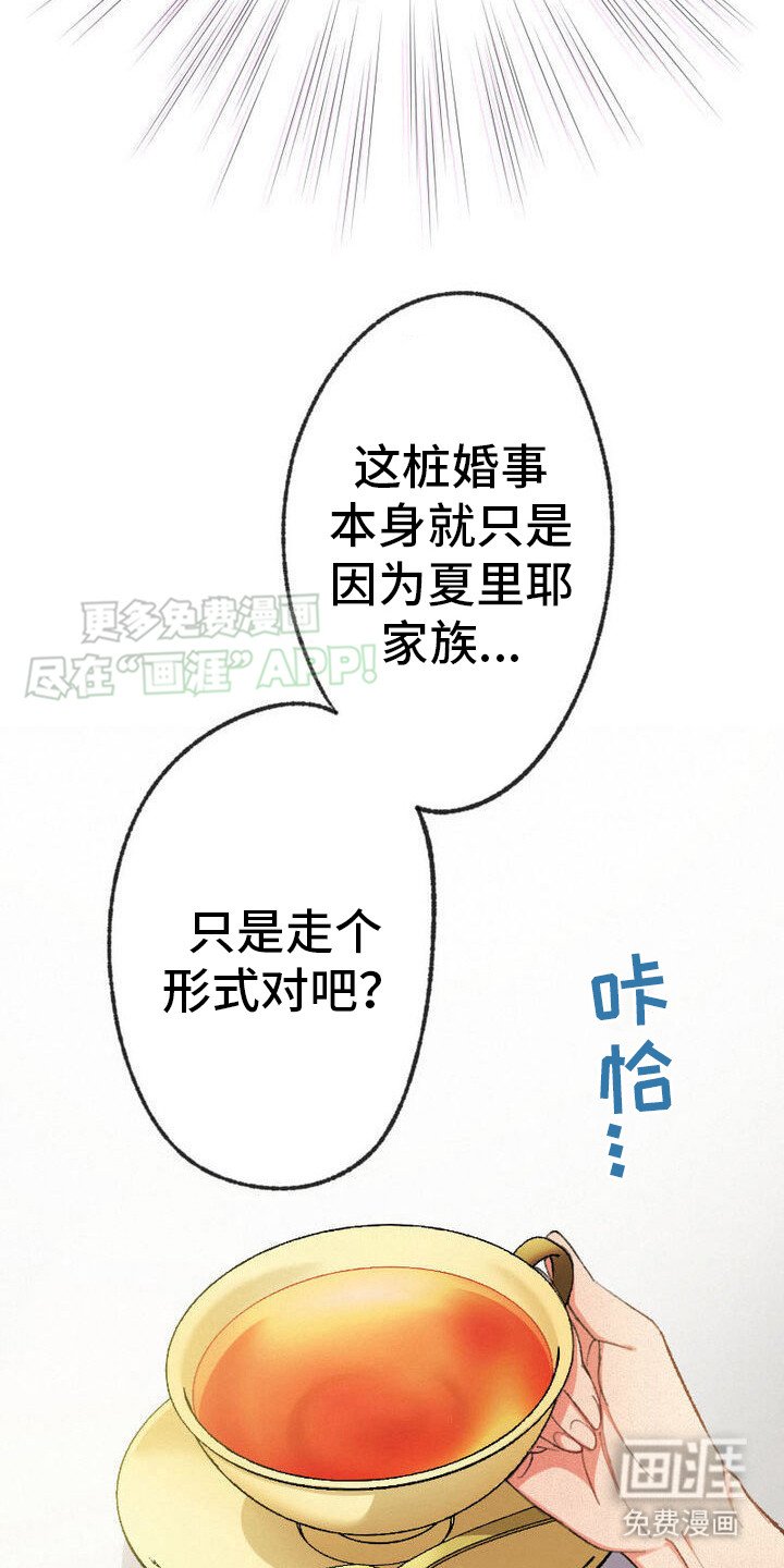 第23章： 能够理解
