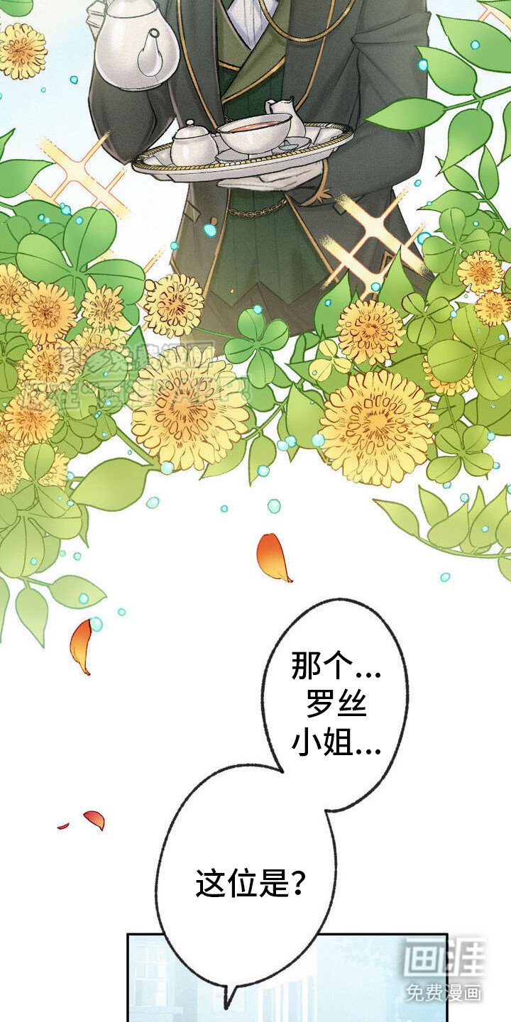第25章：共舞