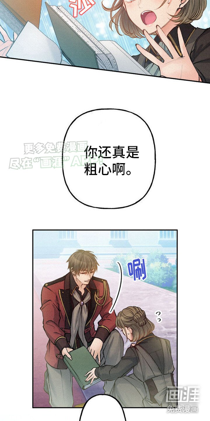第28章：没有可比性