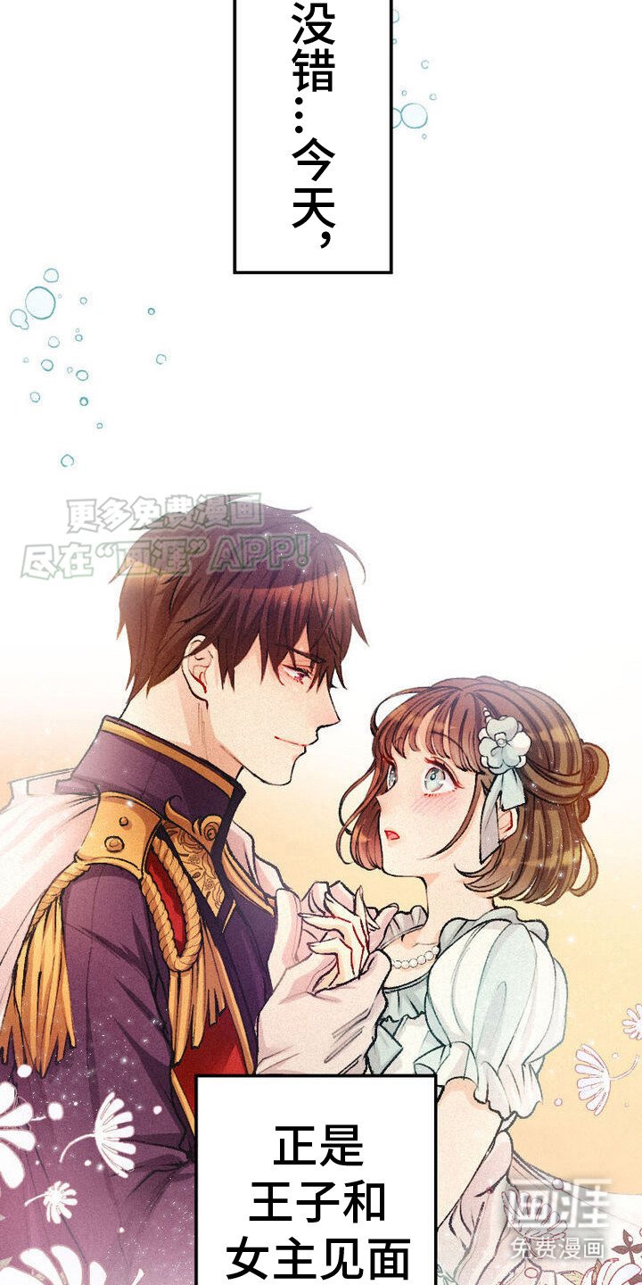 第4章：女主角