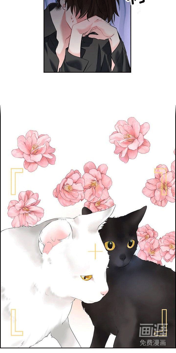 第5章：哥哥