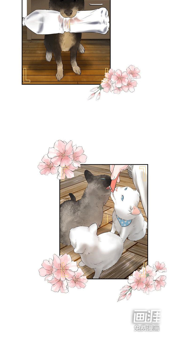 第5章：哥哥