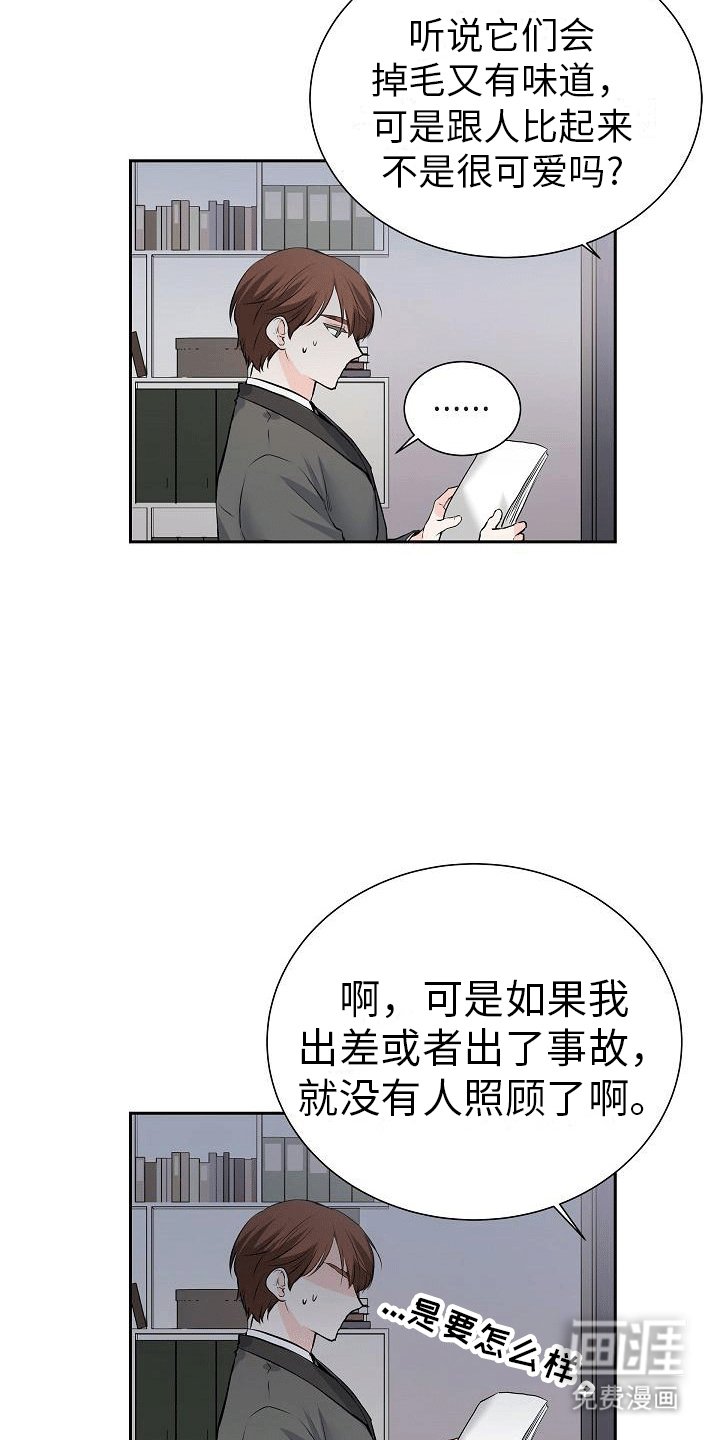 第5章：哥哥