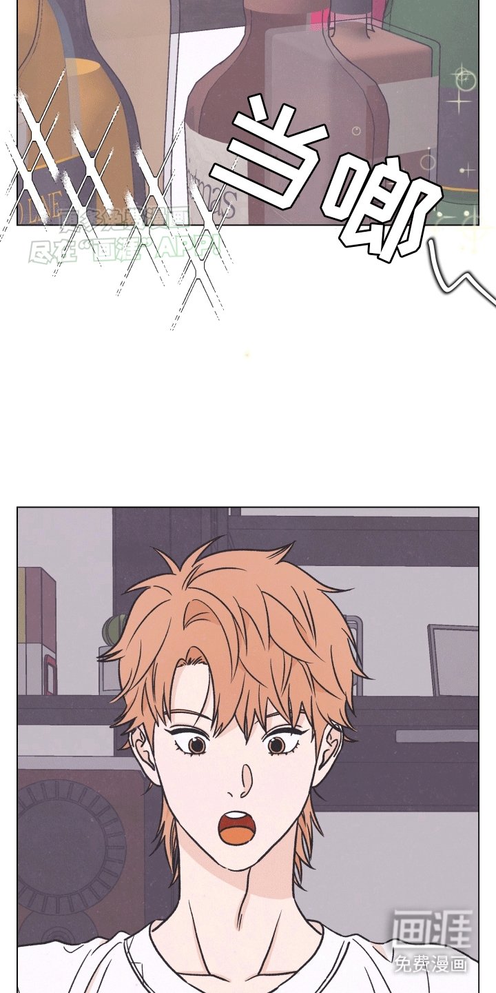 第3章：质问