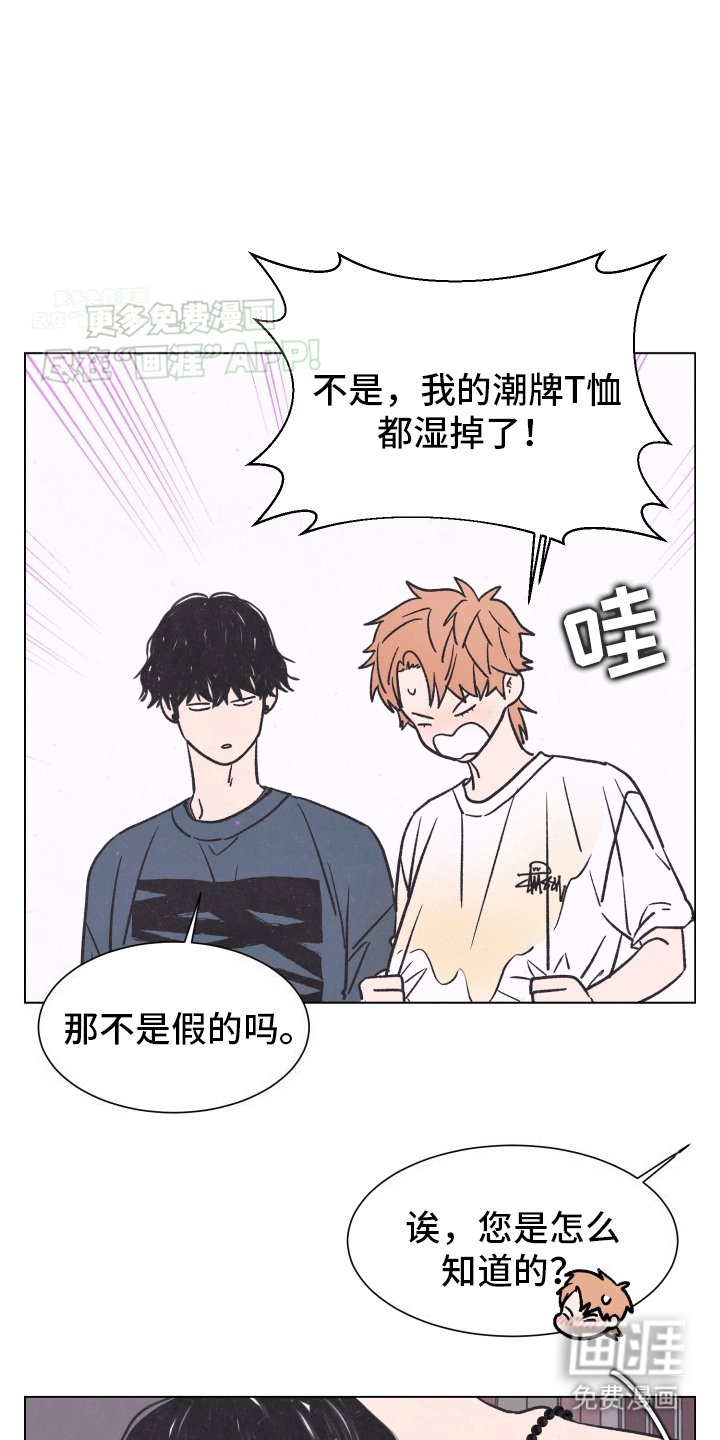 第4章：间谍