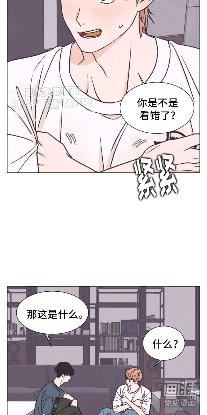 第5章：证明自己