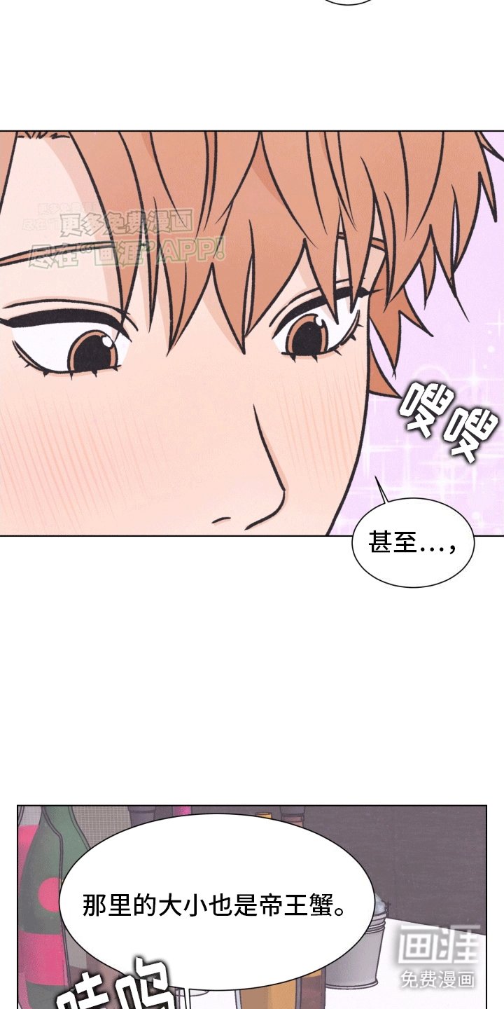 第5章：证明自己