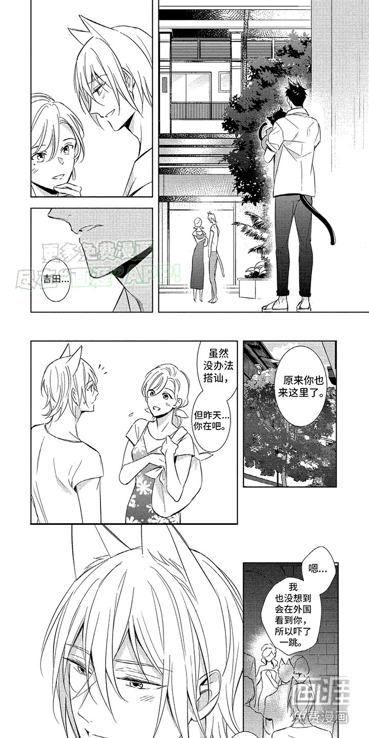 第5章：嫉妒