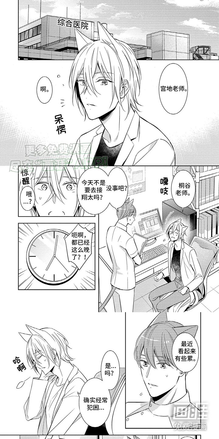 第7章：怀二胎