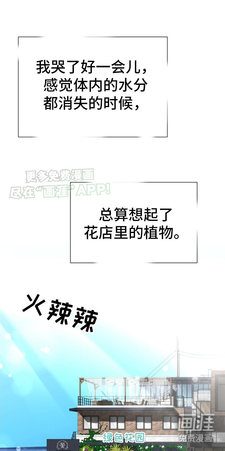 第10章：这就是爱