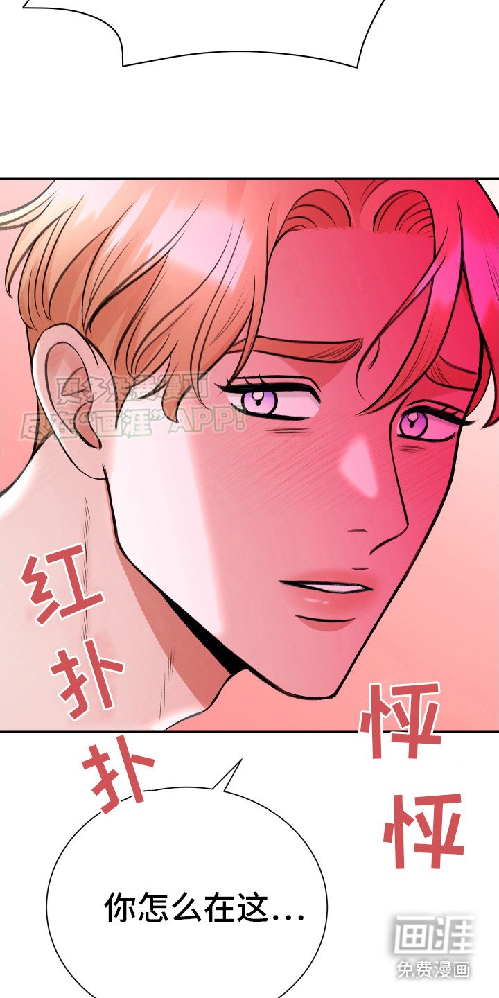 第11章：回家吧（完结）