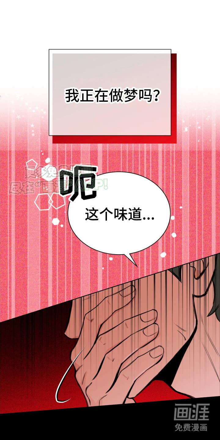 第3章：使用