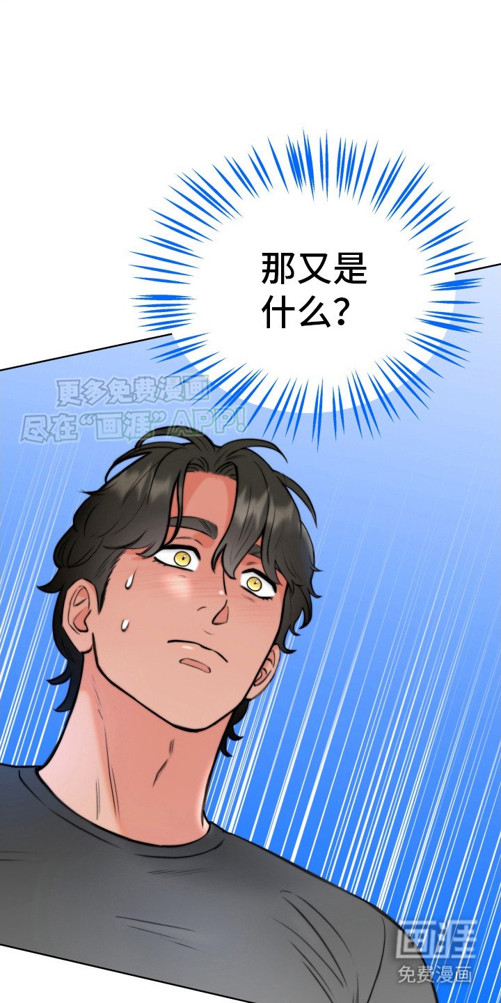 第3章：使用