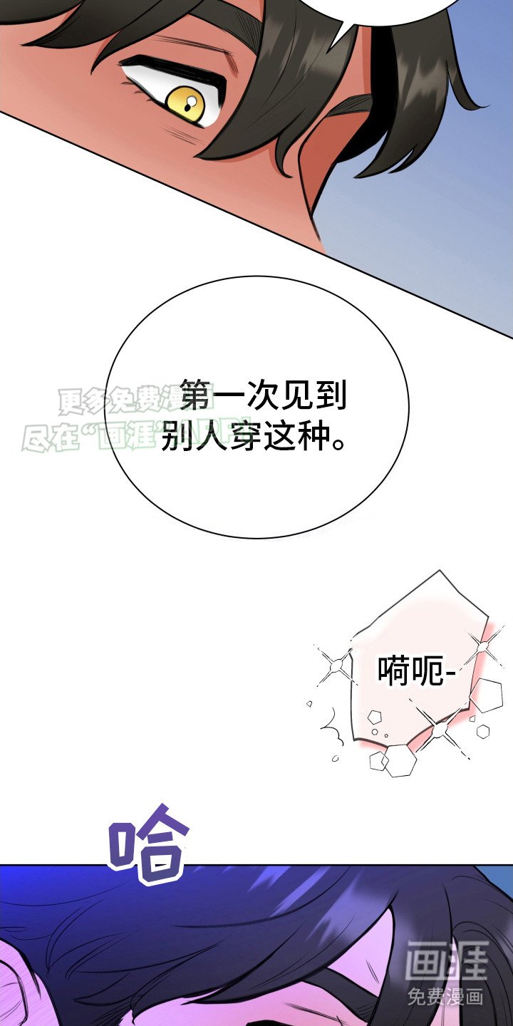 第3章：使用