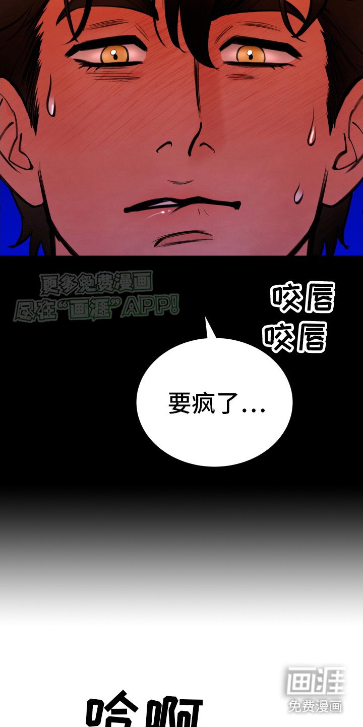 第3章：使用