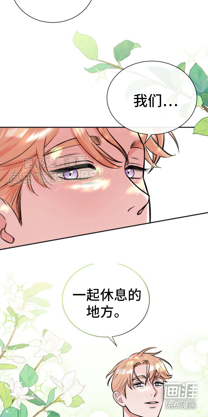 第6章：很混乱