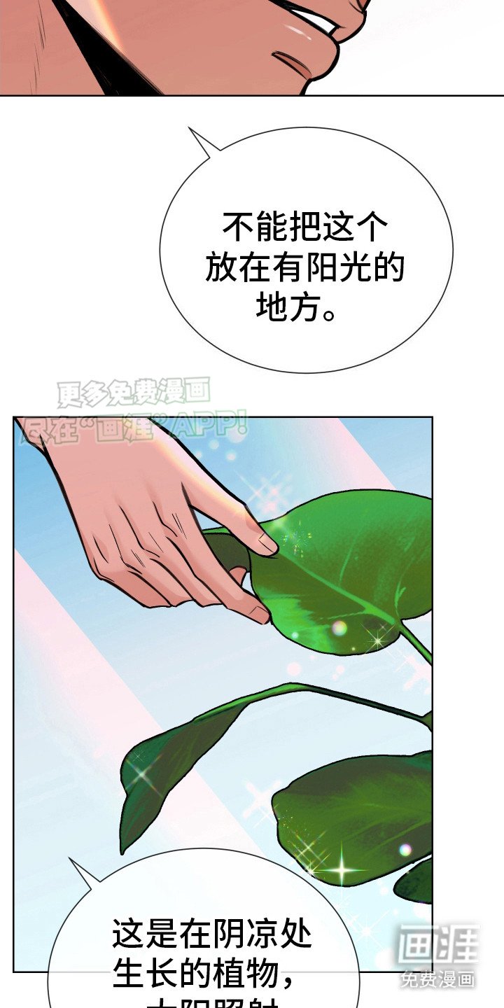 第9章：梦醒了