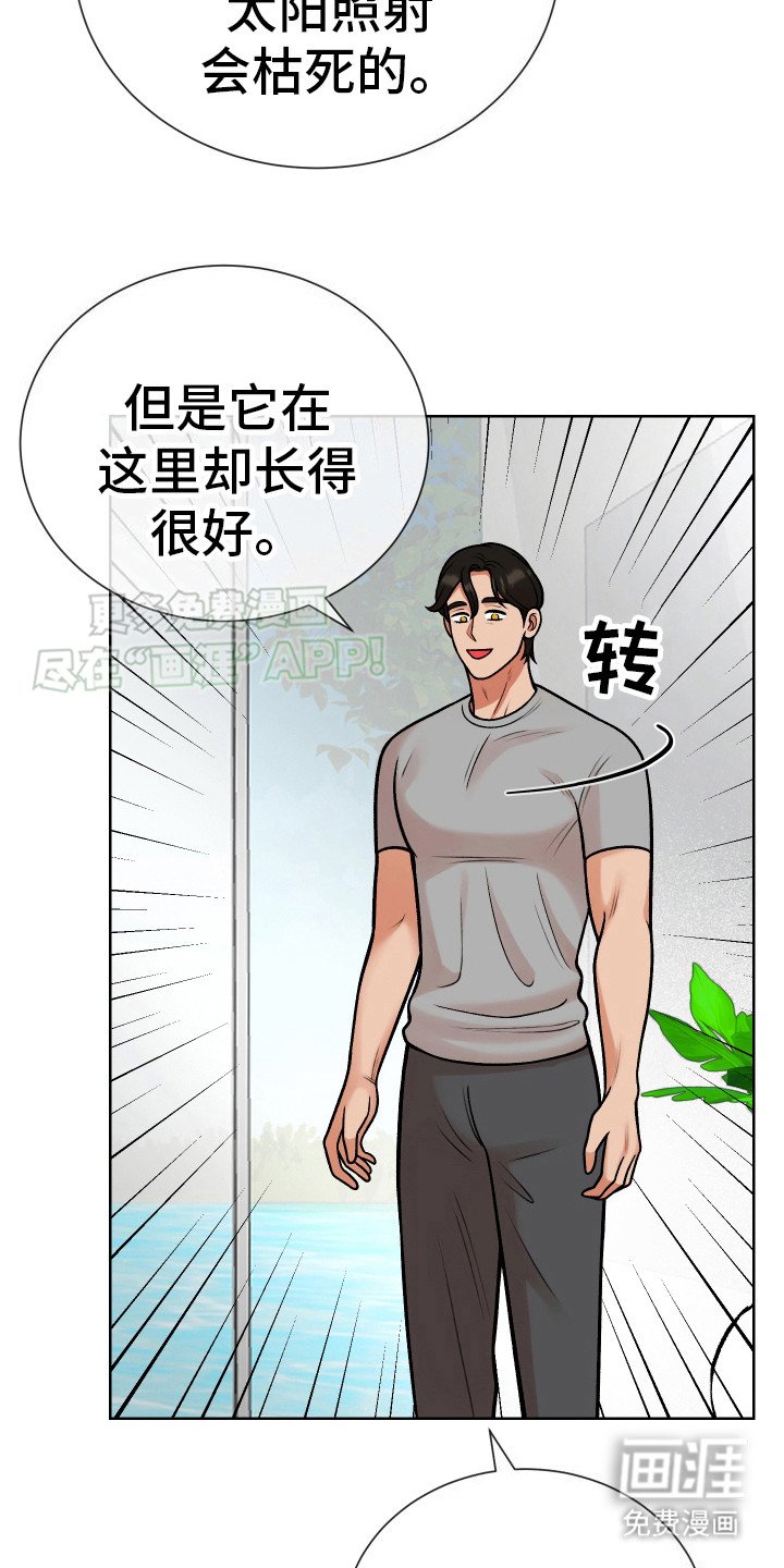第9章：梦醒了