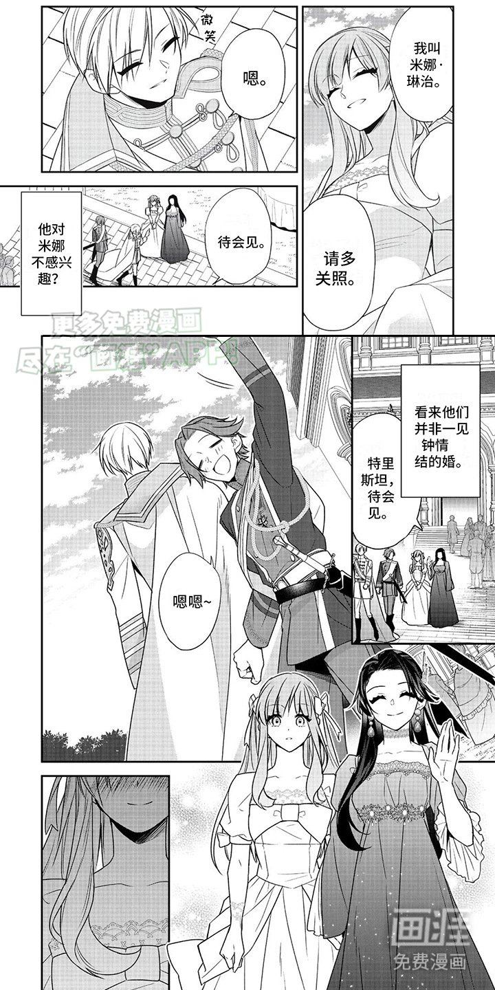 第15章：茶话会
