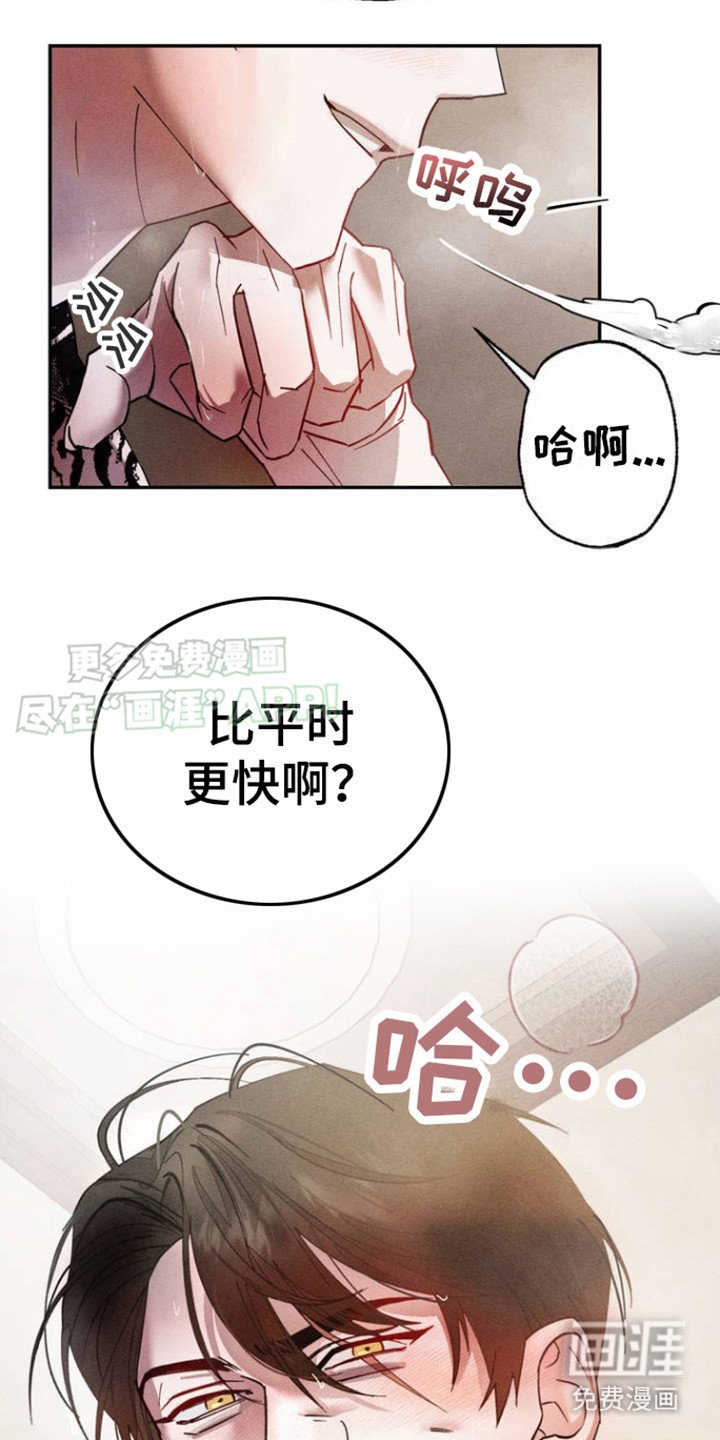 第1章：不是爱人