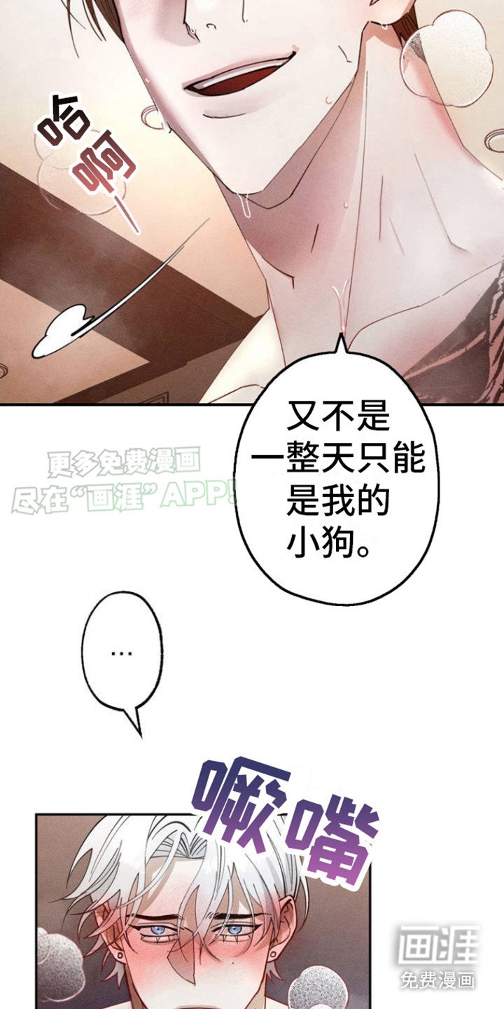 第1章：不是爱人