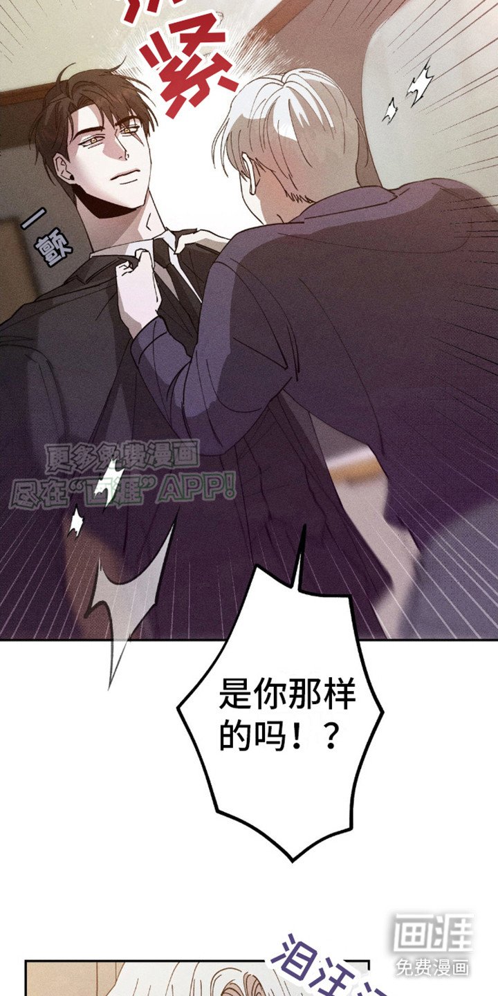 第6章：永远在一起（完结）
