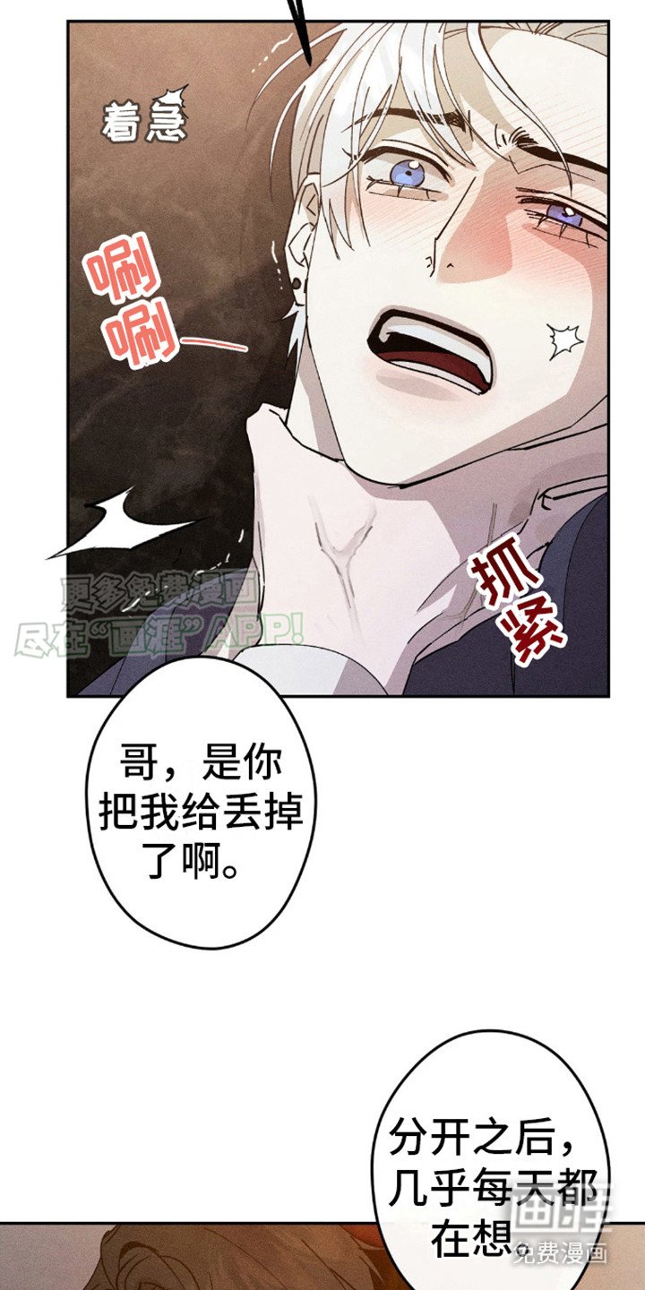 第6章：永远在一起（完结）