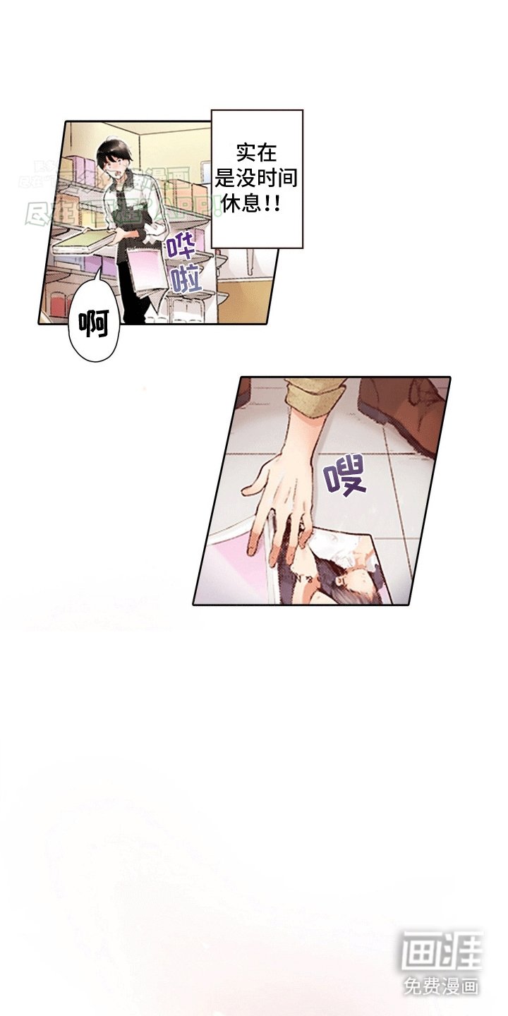 第1章：破产
