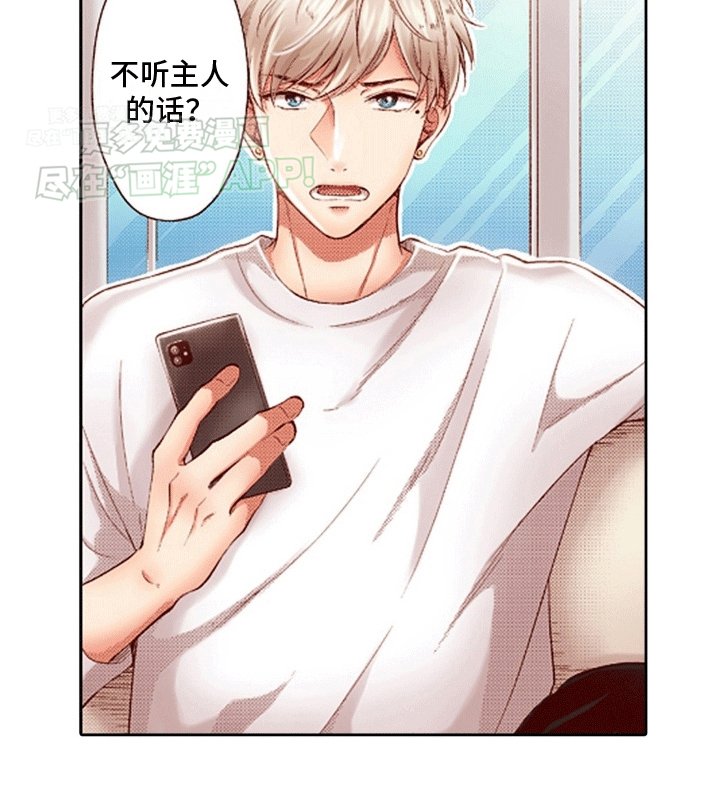 第13章：报复