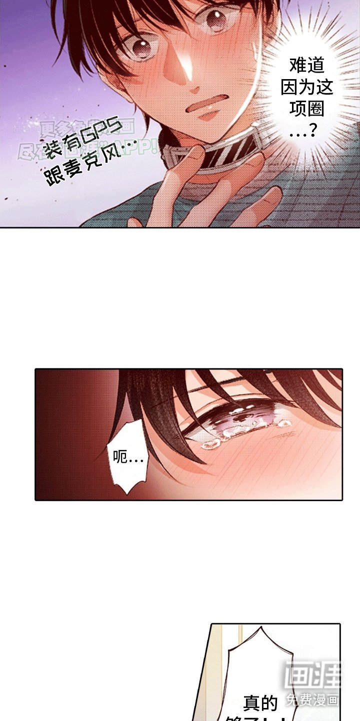 第13章：报复