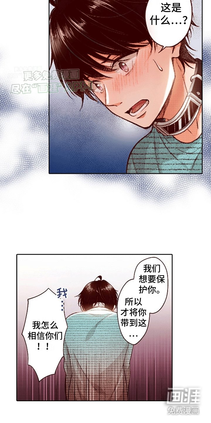 第13章：报复