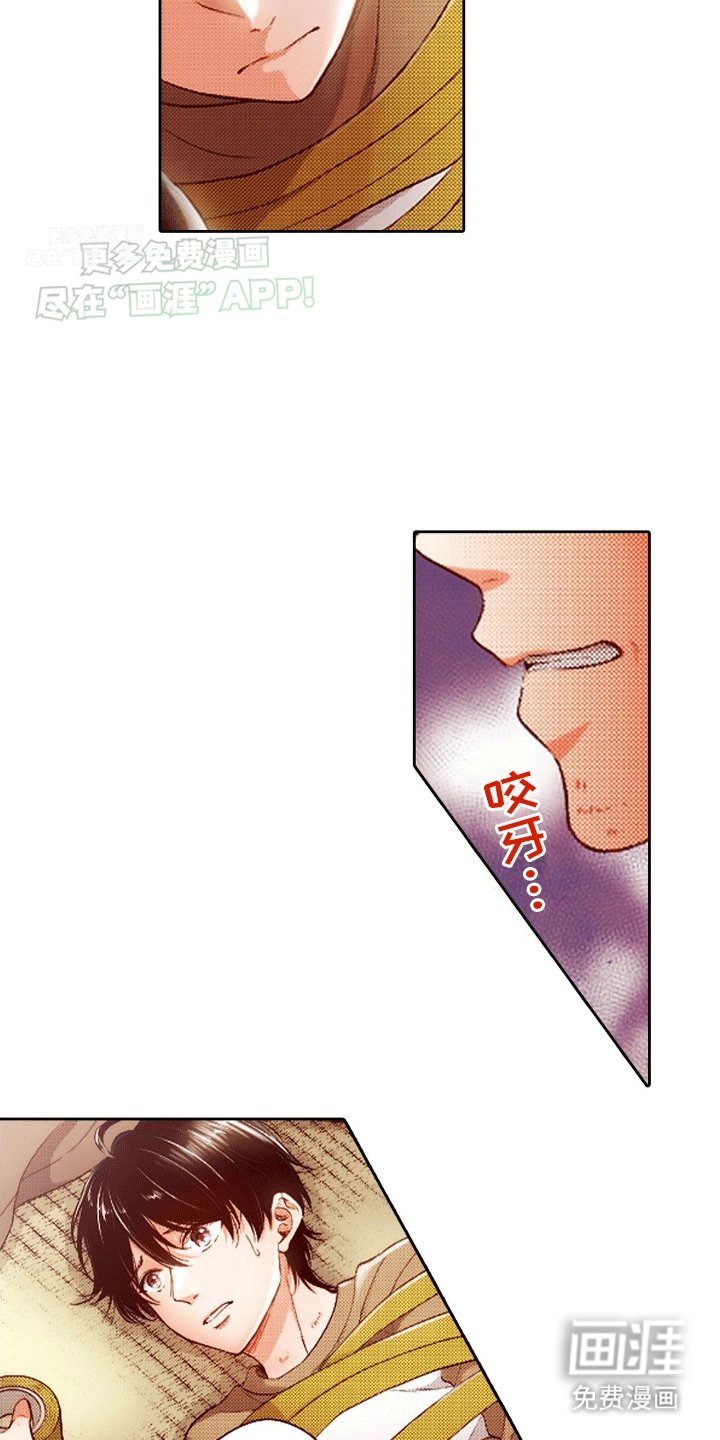 第17章：救援