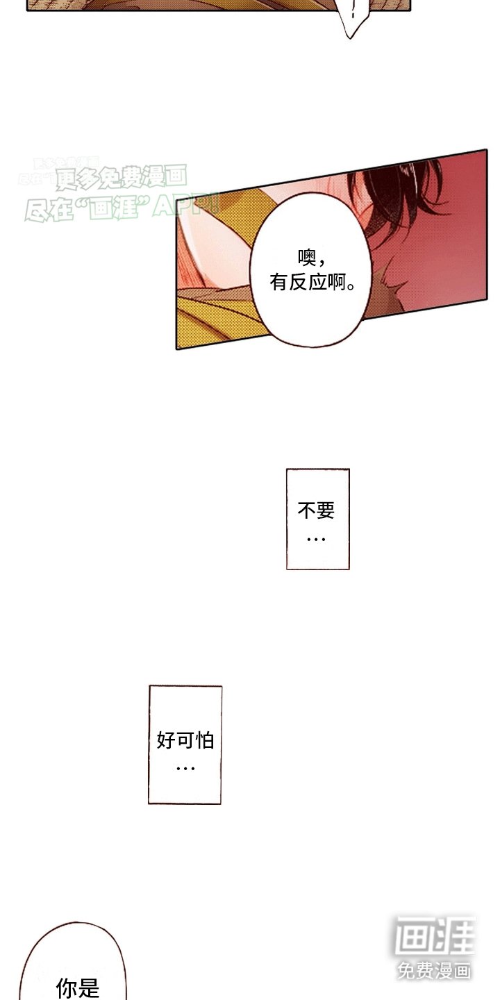 第17章：救援